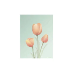 Tulipaner Mint Plakat, 40x30 Cm
