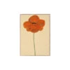 Orange Vallmo Poster -Skandinavisk Shop 902279654